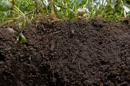 The Secrets of Soil – How the answer to some problems lies right beneath our feet