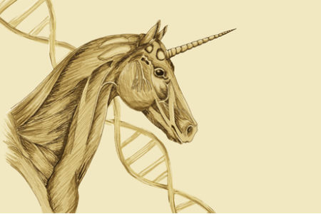 Toveren met CRISPR-Cas: Een eenhoorn knutselen met DNA