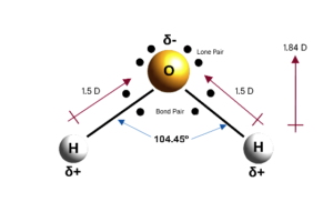 Water molecule structure and dipole moment